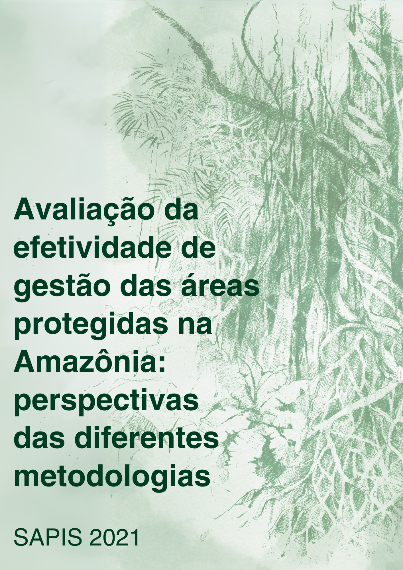 Avaliação da efetividade de gestão das áreas protegidas na Amazônia perspectivas das diferentes metodologias – SAPIS 2021