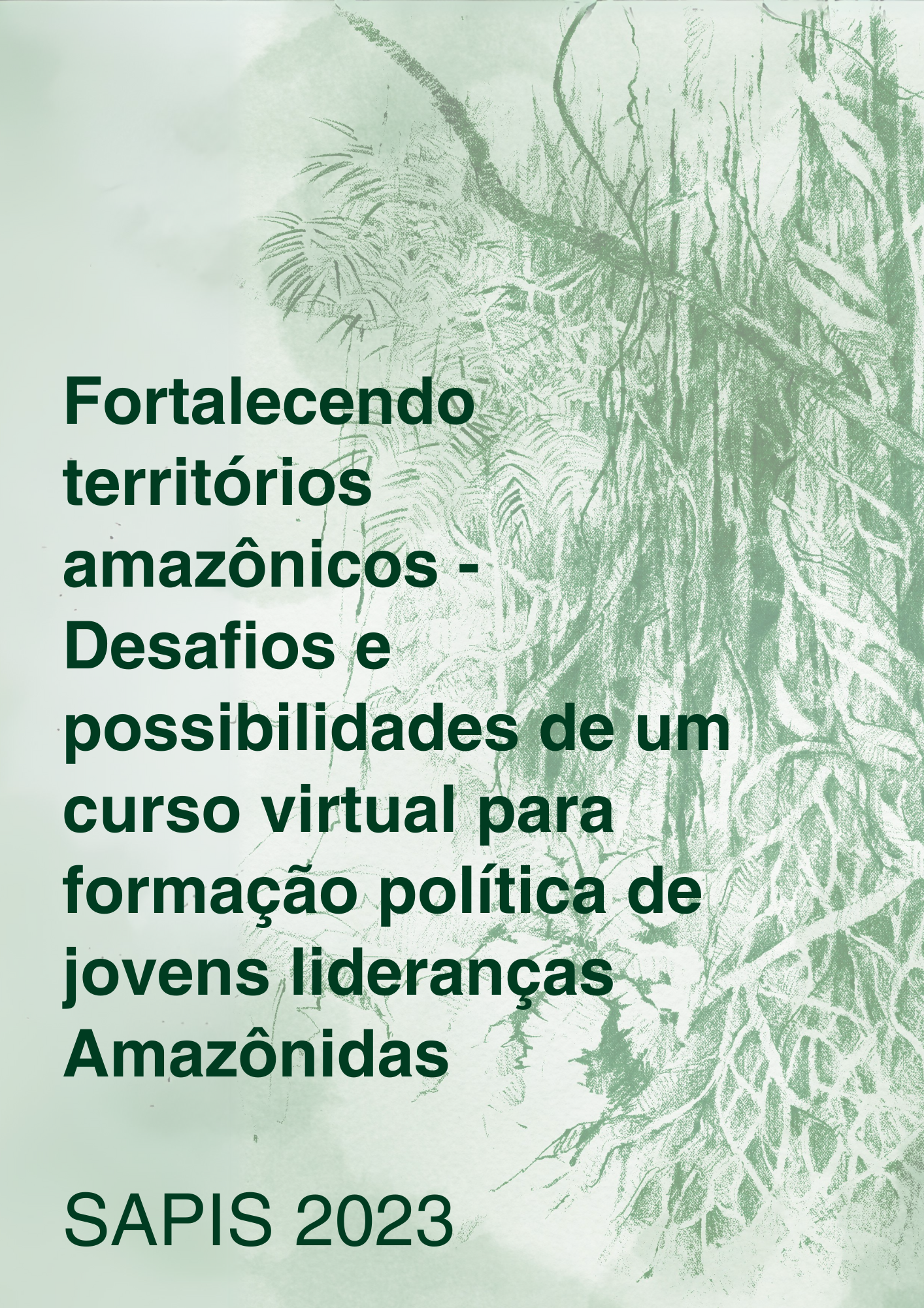 Capa – Fortalecendo territórios amazônicos – Desafios e possibilidades de um curso virtual para formação política de jovens lideranças