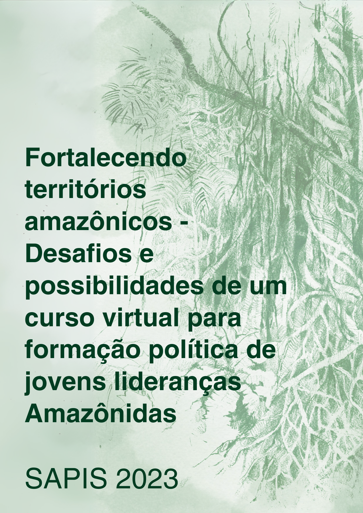Fortalecimento territorios amazonicos-foto