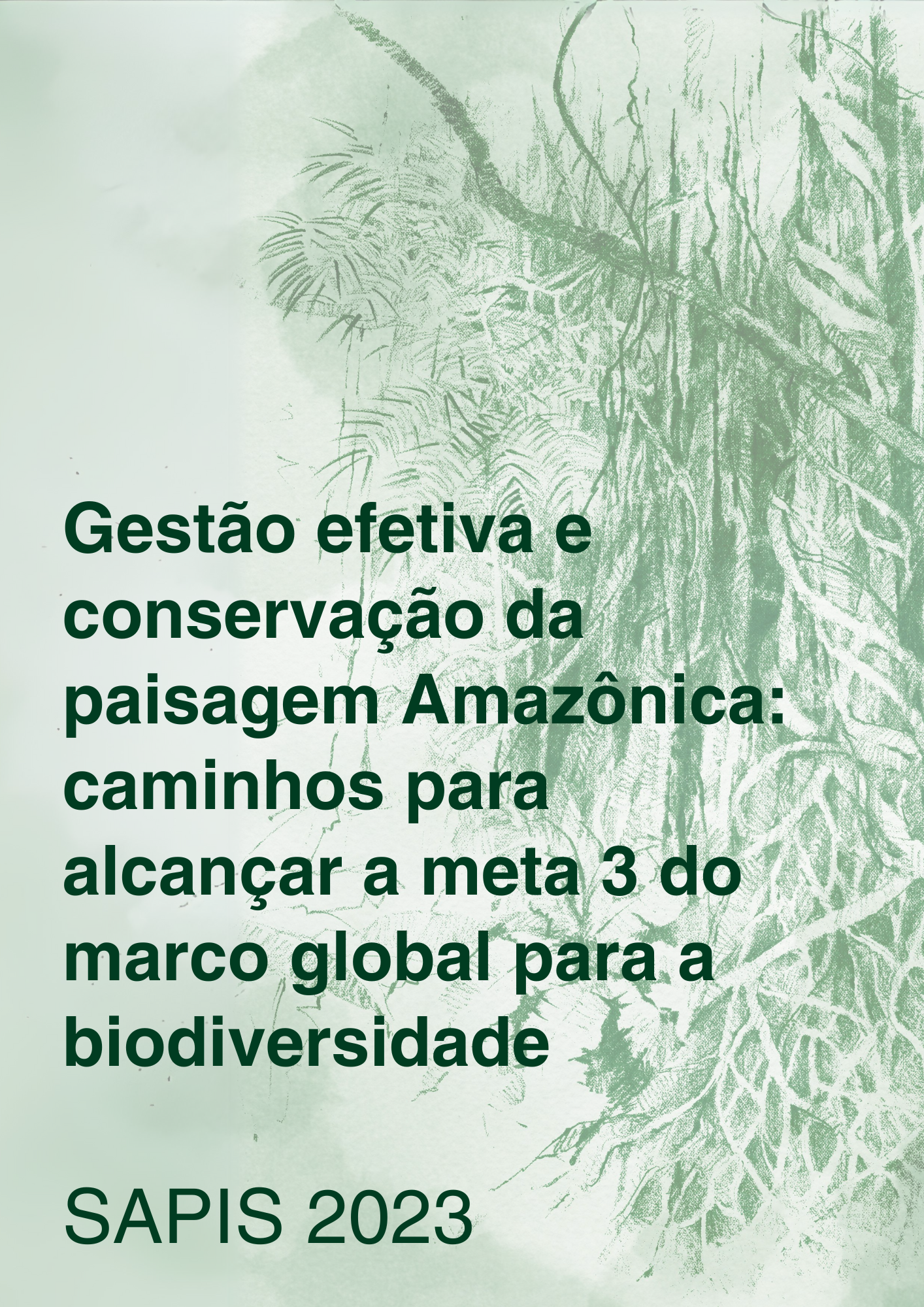 Capa – Gestão efetiva e conservação da paisagem Amazônica: caminhos para alcançar a meta 3 do marco global para a biodiversidade