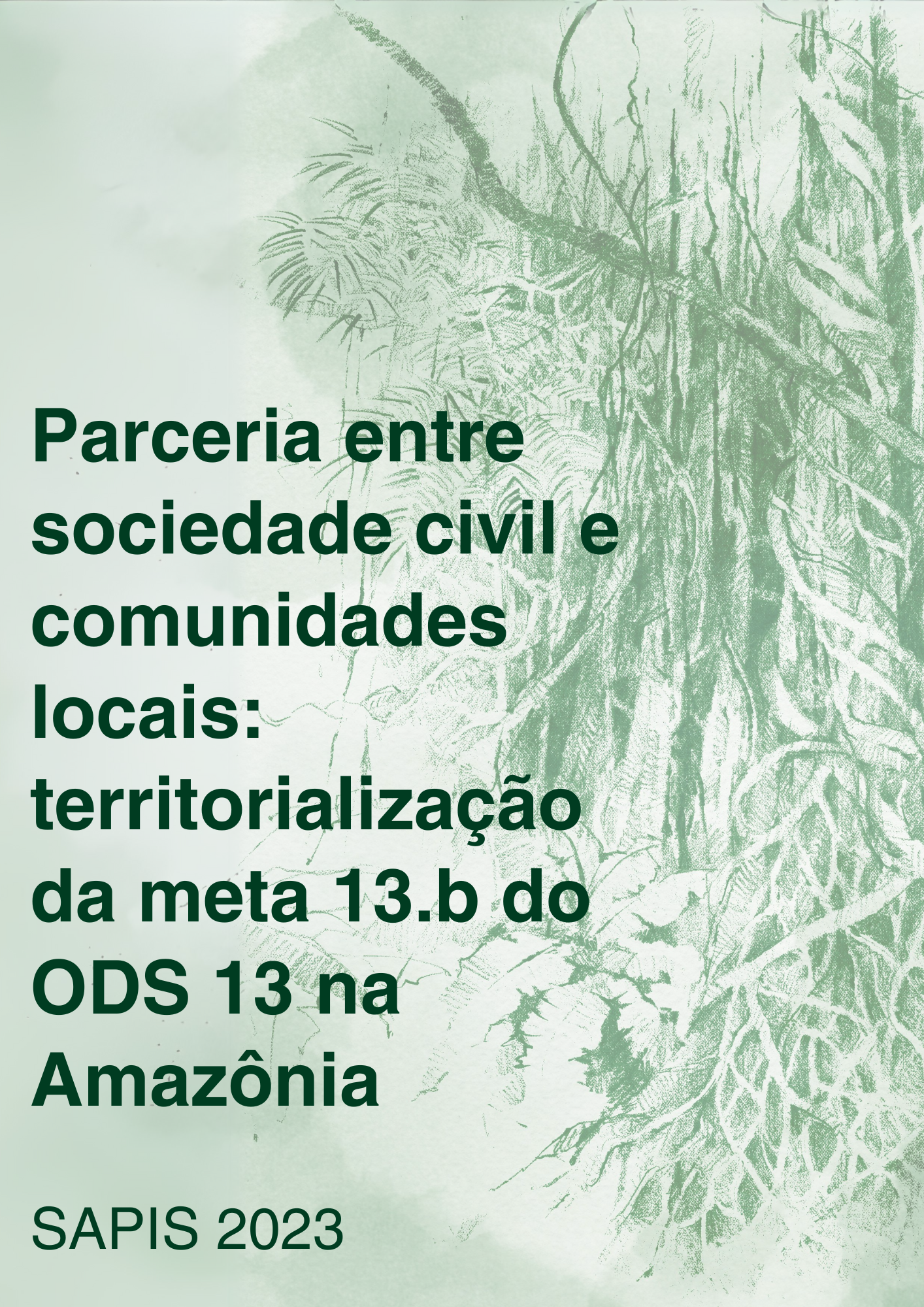 Capa – Parceria entre sociedade civil e comunidades locais: territorialização da meta 13.b do ODS 13 na Amazônia