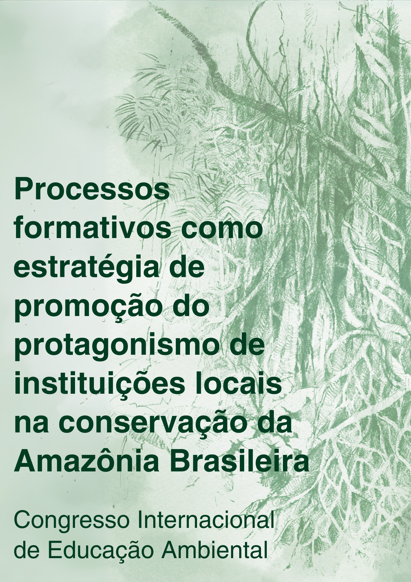 Capa – Processos formativos como estratégia de promoção do protagonismo de instituições locais na conservação da Amazônia Brasileira