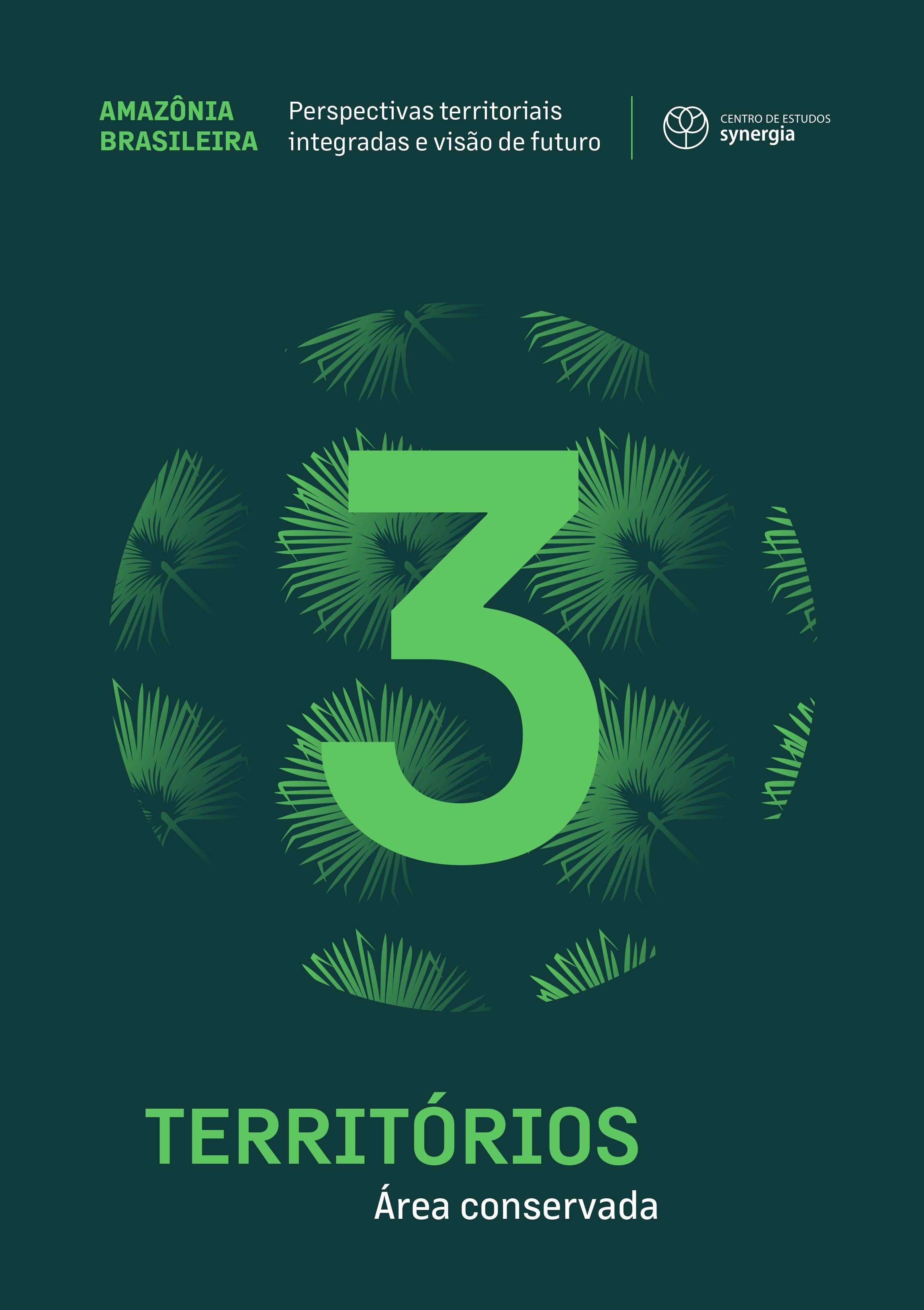 Capa – Série Amazônia Brasileira: perspectivas territoriais integradas e visão de futuro