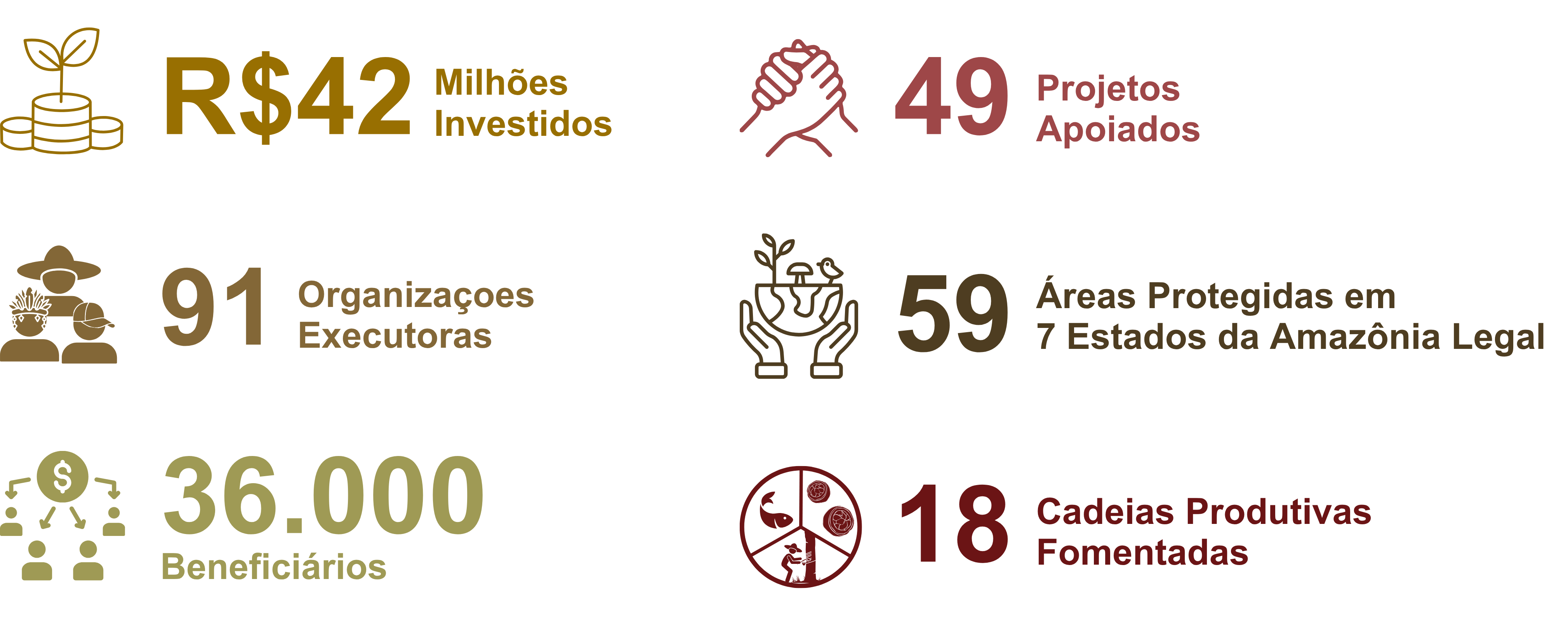 Infográfico Ciclo 2019-2024